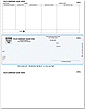 accounts payable checks - form DLM255