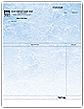 Form 13056T-Professional Invoice